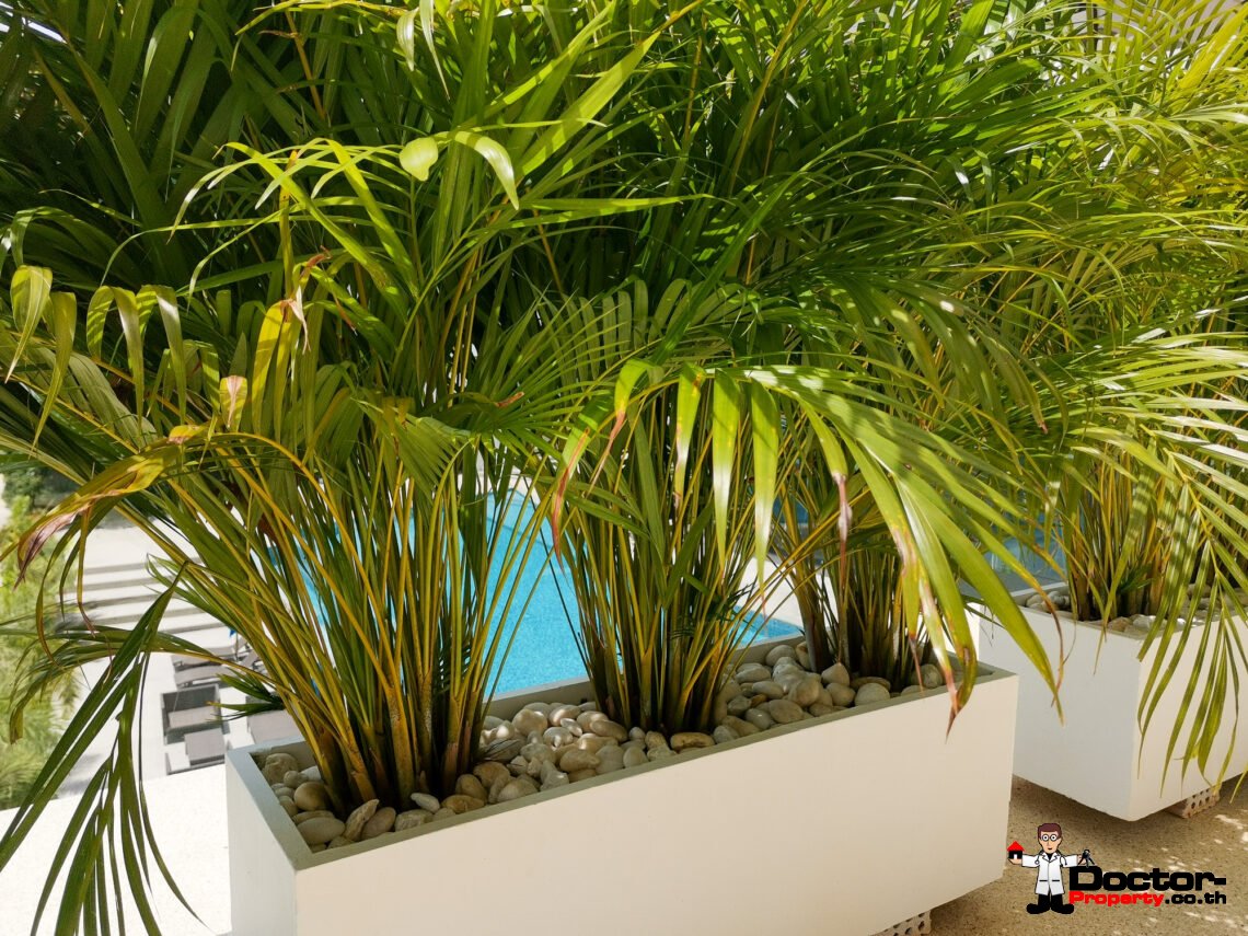 2 Bed Apartment with Communal Clubhouse – Mae Nam, Koh Samui – For Sale